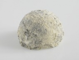 Cheeses of the world - Taupinette Charentaise